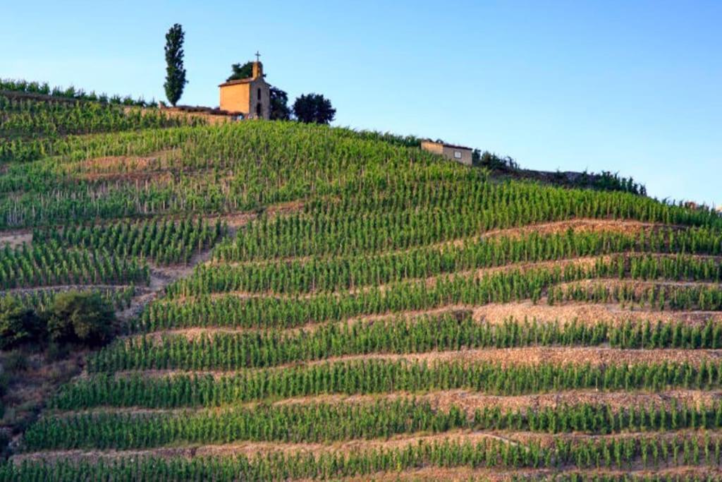 Appartamento Pres Des Vignes
