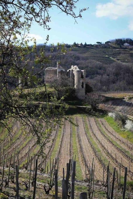 Pres Des Vignes *