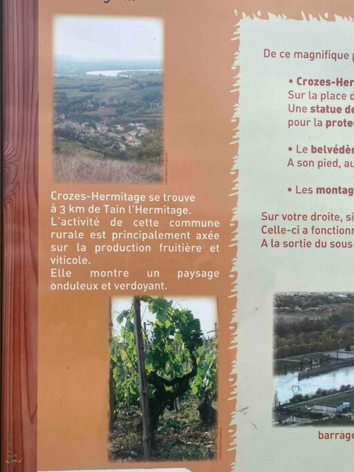 Pres Des Vignes *